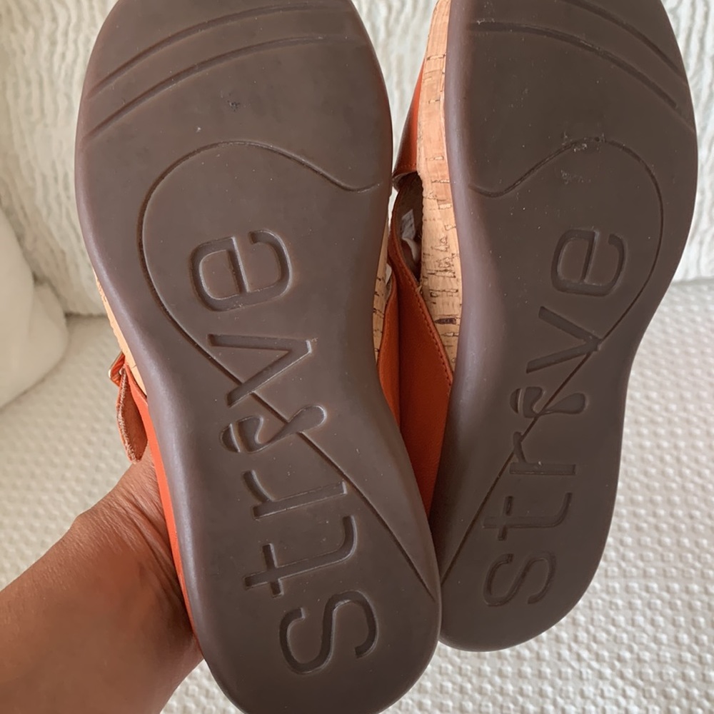 STRIVE - Picture 6 of 6